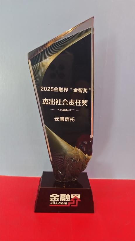 杰出社会责任奖2025金融界.png